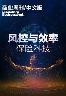 你的怪盗女友