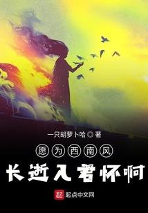 林空路引惜
