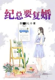 傲罗之战