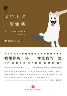 另一面邪神