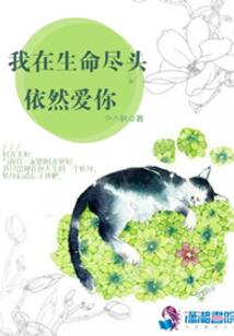 从开始到后来