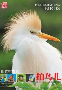 维蒂安