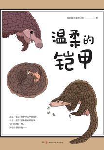 光影迷踪