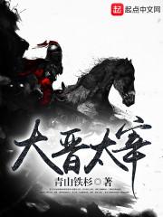 元素主宰系统