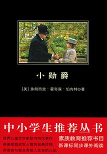 繁星入月