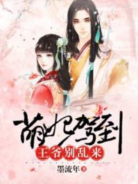 凤舞九天：倾城劫