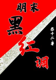 将军对不起将军原来我爱你