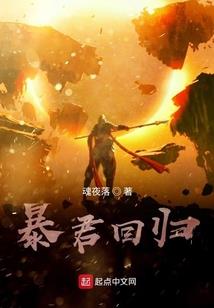 宠物小精灵之银