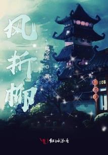 重生劫倾城丑妃