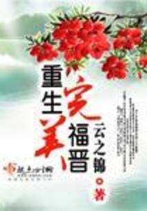 村花的北宋市井生活(合作)