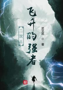神奇宝贝大师