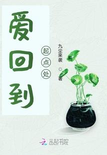 龙缘凤劫