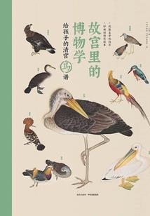 鸽子与少年