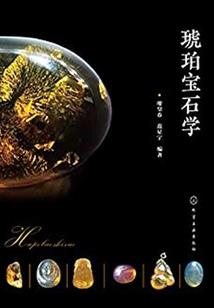 梦游纽约
