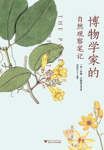 归雁已归