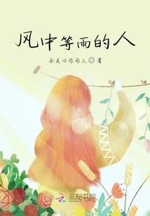 我的武林杨家将