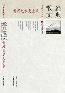 王者之大陆历史
