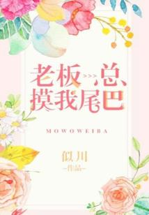 龙的传人傲苍穹
