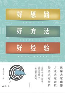 金牌医妃，这个王妃有点野