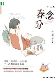 俏皮王妃游古代