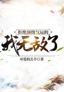 海贼之我真的不是玩家