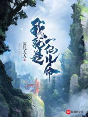 掌寰宇