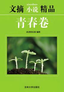 刁蛮公主的异能骑士