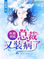 王朝少将传