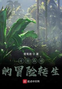 全职大侦探