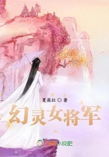 风之残影
