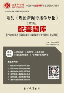 我的世界之天沦正者