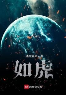银翼护卫