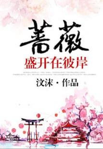 神奇宝贝之跨越时空的相遇