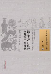 魔法精灵舞