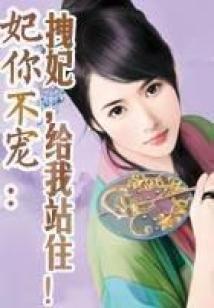 龙翼飞仙