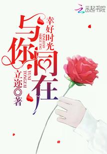 神奇宝贝之黑火传奇