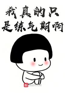 崎岖异时代