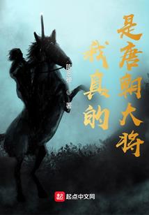 刺妃