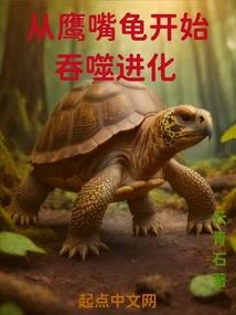 重踏江湖