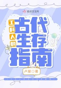 穿越保镖王妃