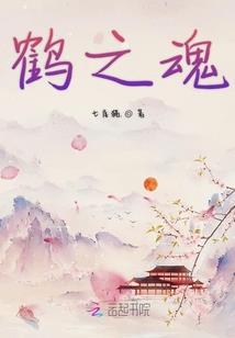 恋恋镜中花