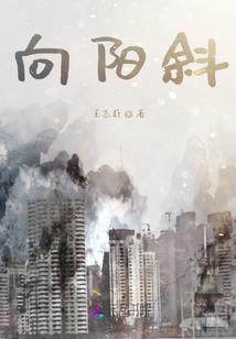 第四维度I