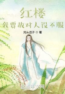 映月侠情