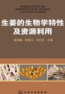 中考前来不及把握的初恋