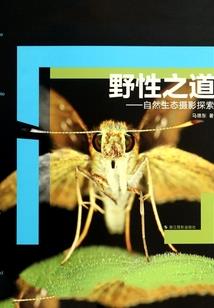 大魔法师的田园生活