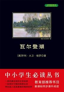灰色的地带