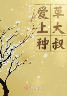 诸天绝世系统