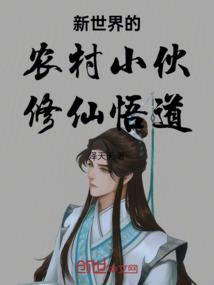 宠物小精灵之迷城