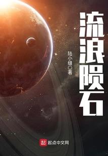 高达之粒子的光辉