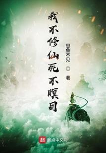 最后的舰队